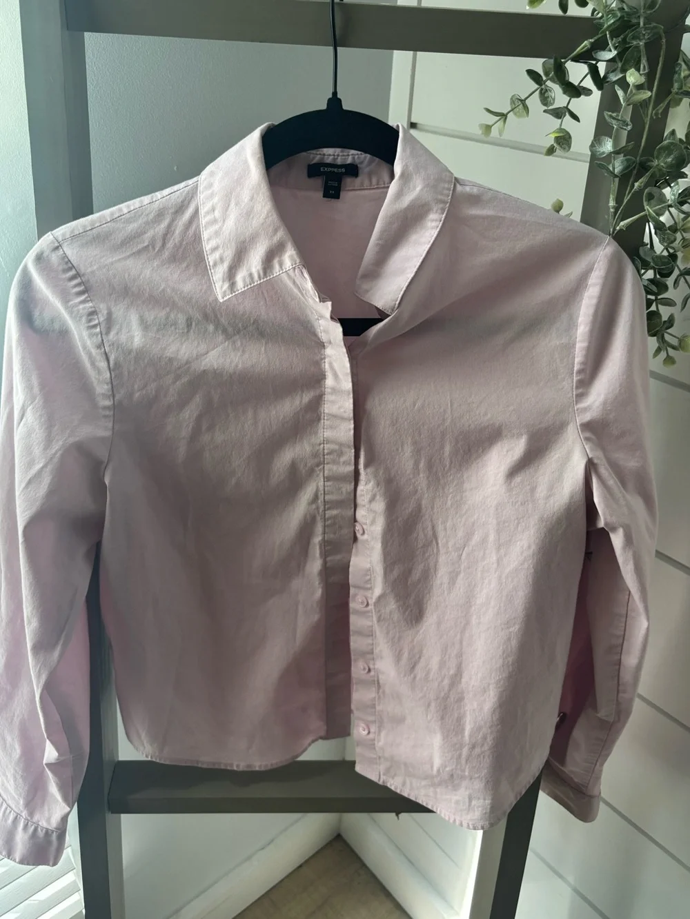 Express Pale Pink Collared Button-Down - Picture 1 of 9